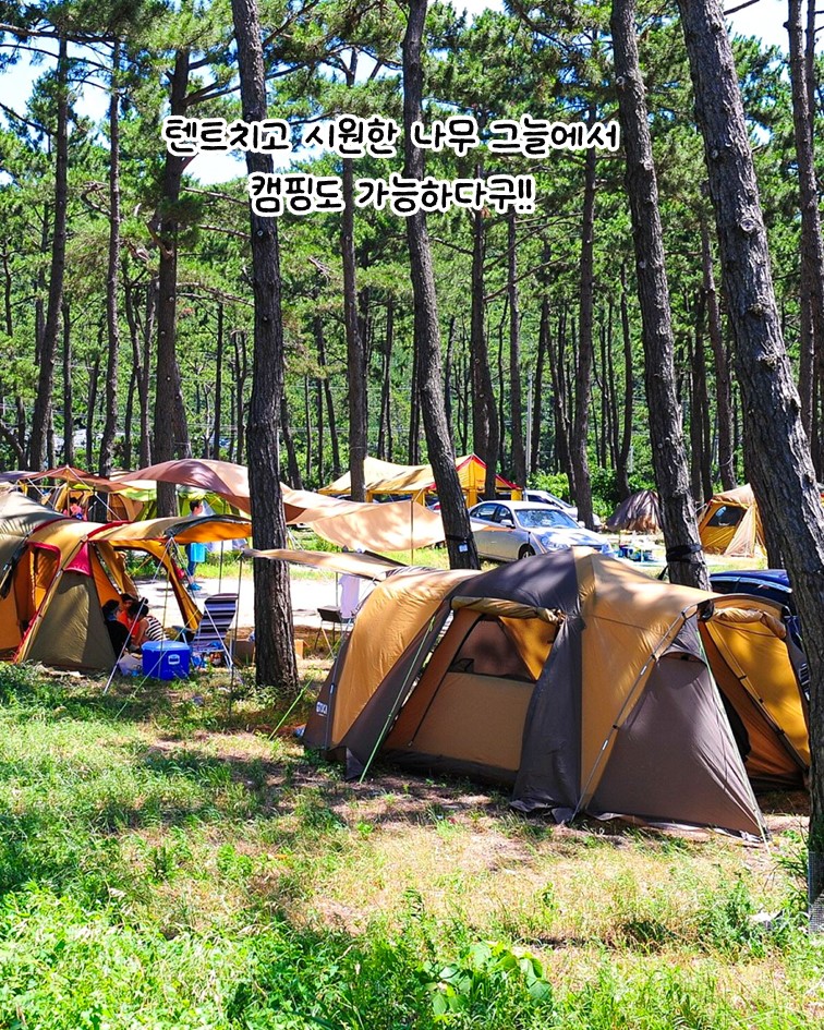 acb120d4ac801665dda6b1eb5a4c59c1_1751959492_73.JPG